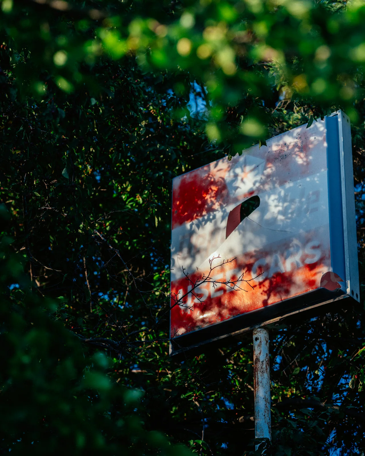 A faded Sinclair sign surrounded by leafy branches in Berlin, Wisconsin